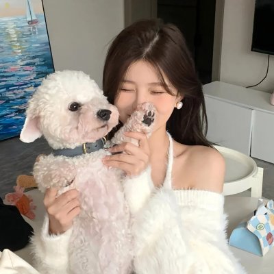 火药之心